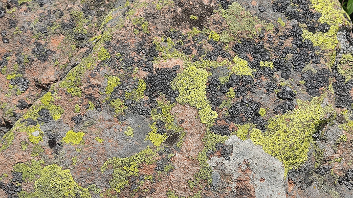 Colori naturali